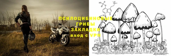 ПСИЛОЦИБИНОВЫЕ ГРИБЫ Баксан
